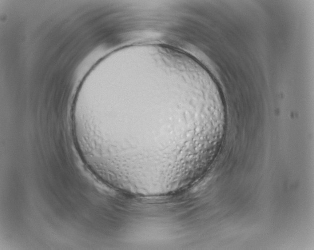 X0000076251488200610191636