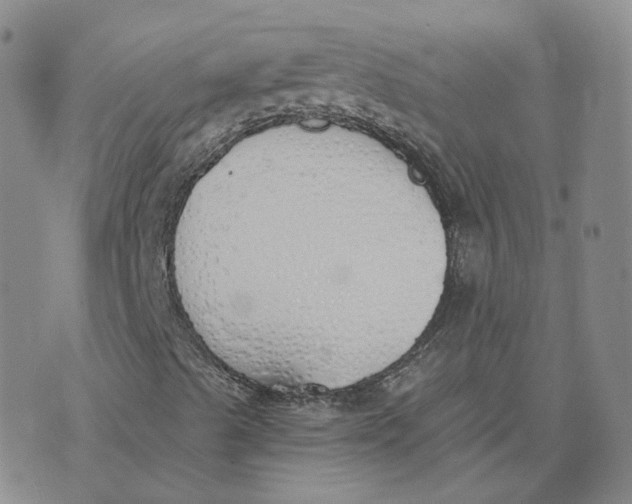 X0000076251489200610191635