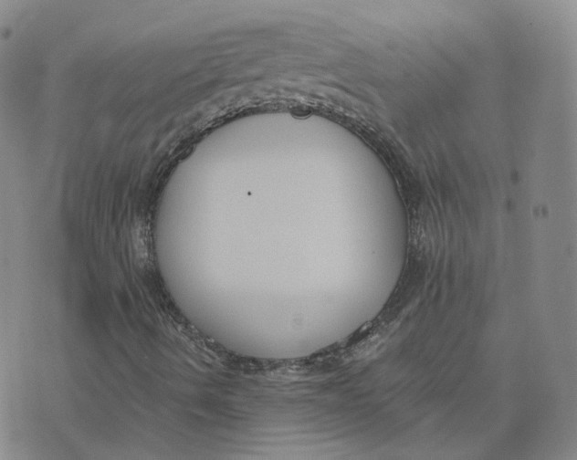 X0000076251490200610191635