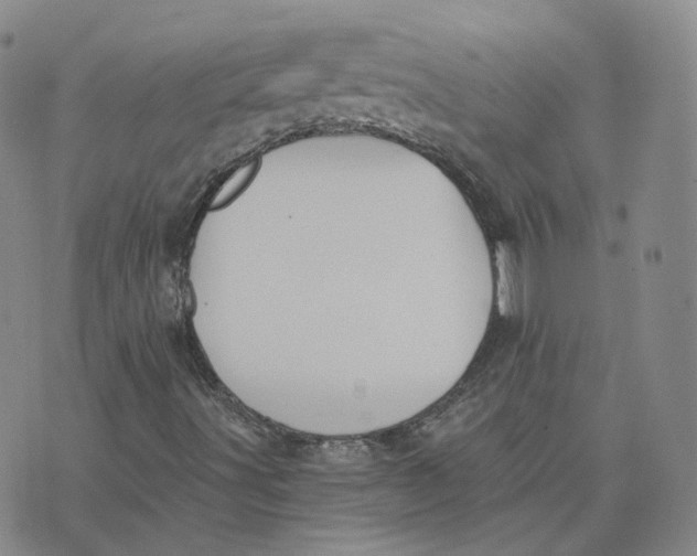 X0000076251491200610191635