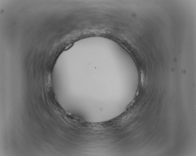 X0000076251492200610191635