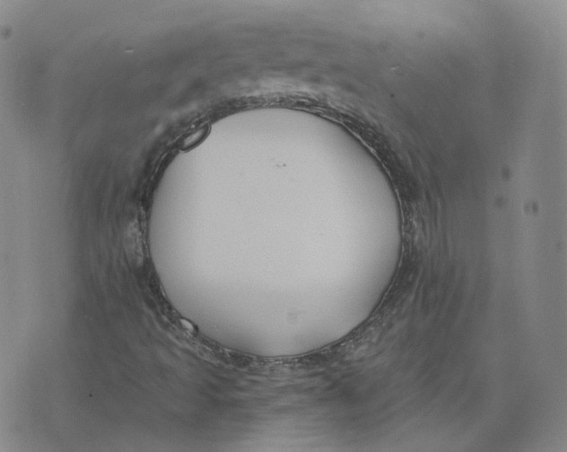 X0000076251493200610191635