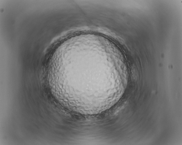 X0000076251494200610191635