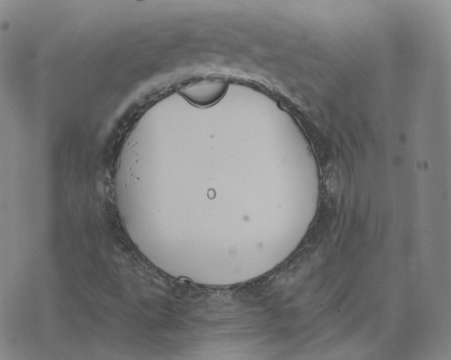 X0000076251495200610191635