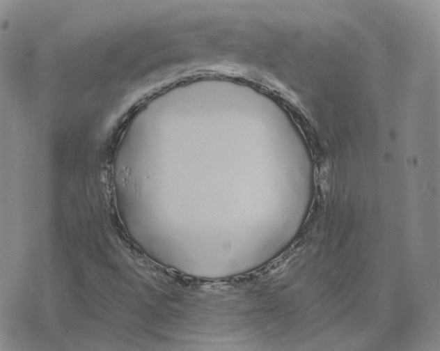 X0000076251496200610191635