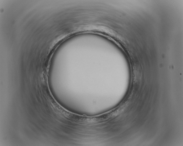 X0000076251497200610191635