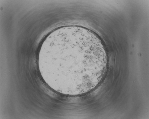 X0000076251498200610191635