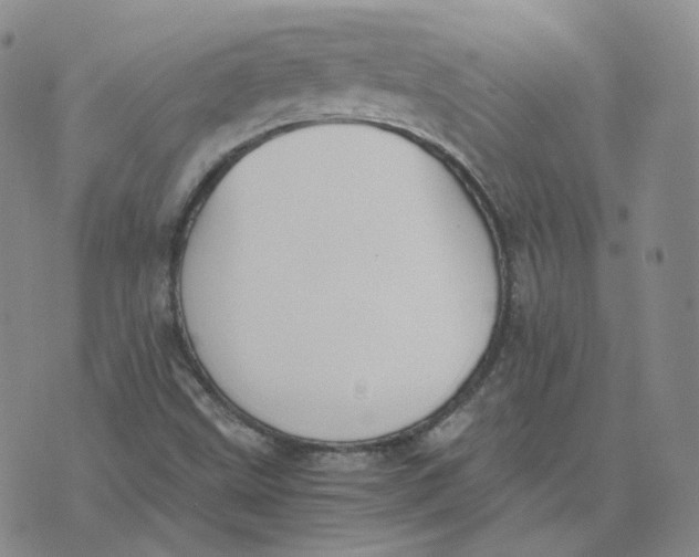 X0000076251499200610191635