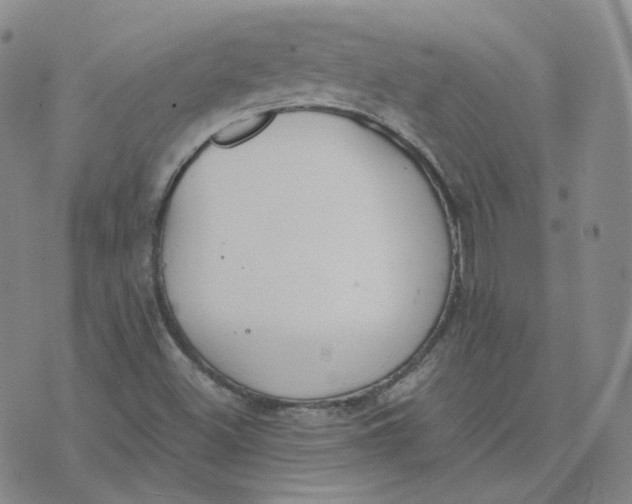 X0000076251500200610191635