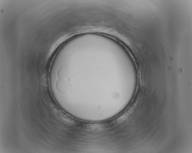 X0000076251501200610191635