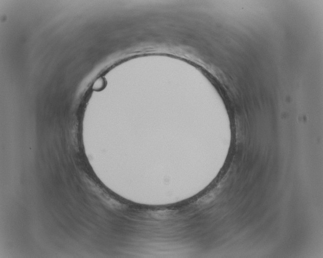 X0000076251502200610191635