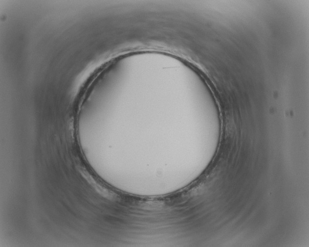 X0000076251503200610191635