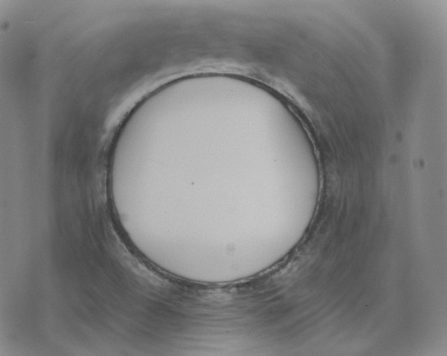 X0000076251504200610191635