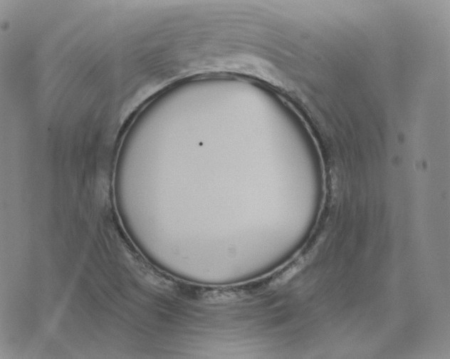 X0000076251505200610191635