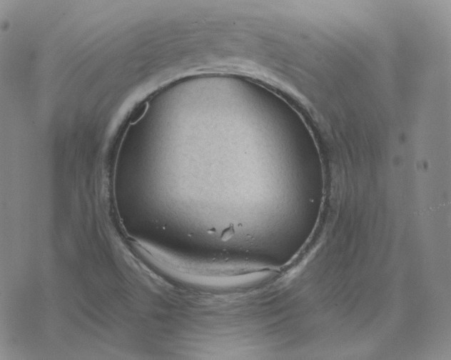 X0000076251506200610191635