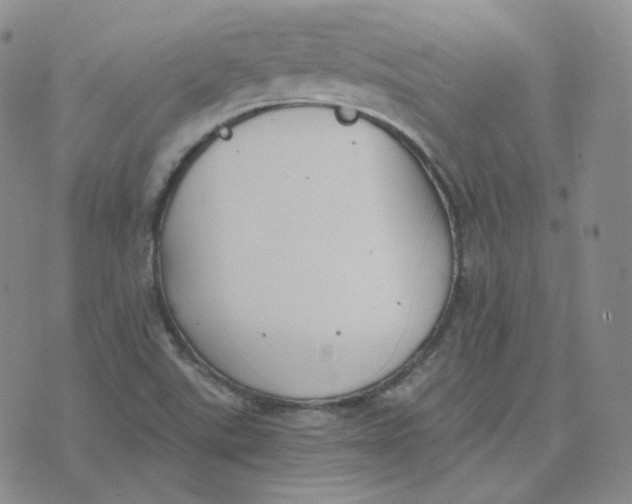 X0000076251507200610191635