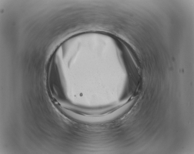 X0000076251508200610191635