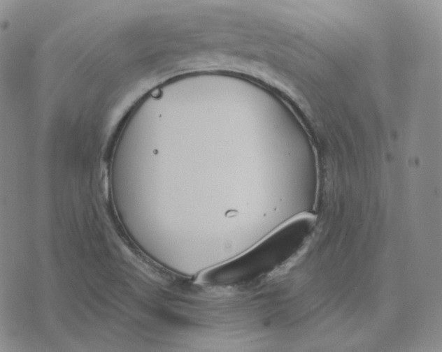 X0000076251509200610191636