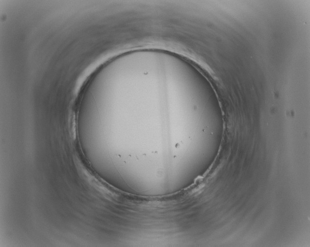 X0000076251510200610191636