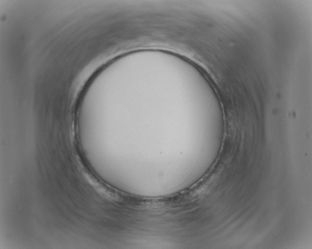 X0000076251511200610191636