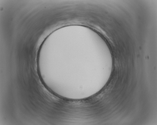 X0000076251512200610191636