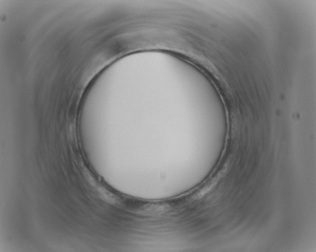 X0000076251513200610191636