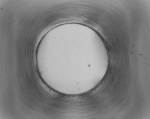 X0000076251516200610191636