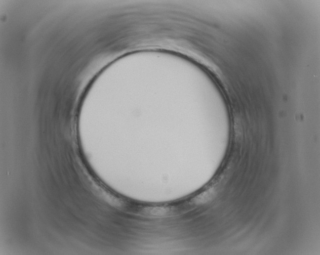 X0000076251517200610191636