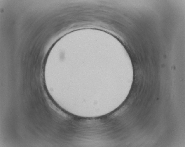 X0000076251518200610191636