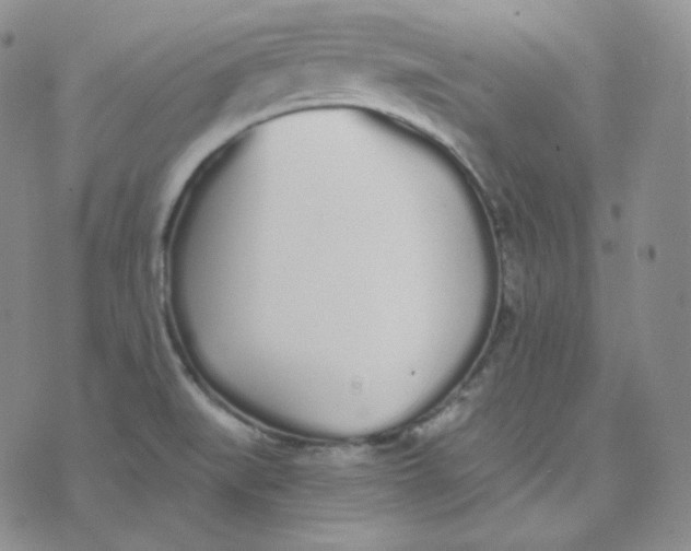 X0000076251519200610191636