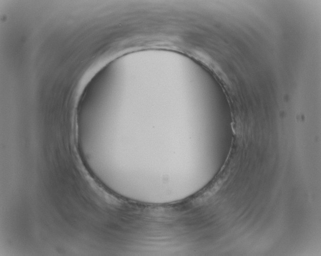 X0000076251520200610191636