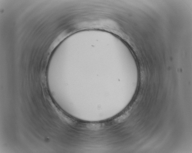 X0000076251521200610191636