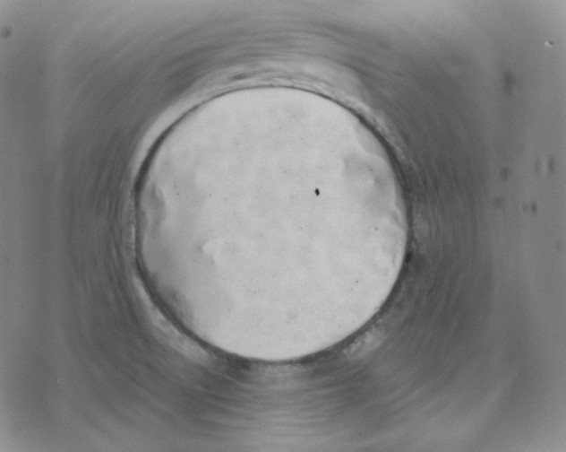 X0000076251522200610191636