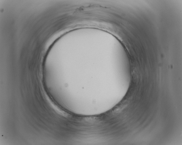 X0000076251523200610191636