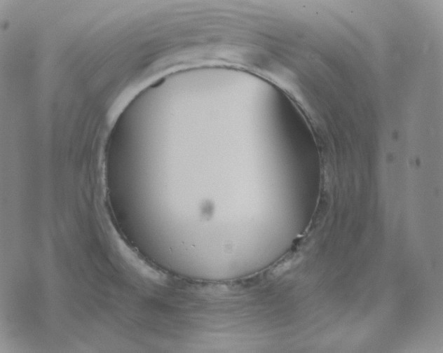 X0000076251524200610191636