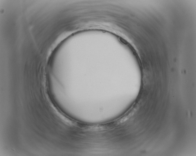 X0000076251525200610191636