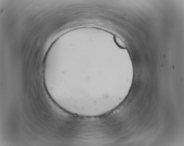 X0000076251526200610191636