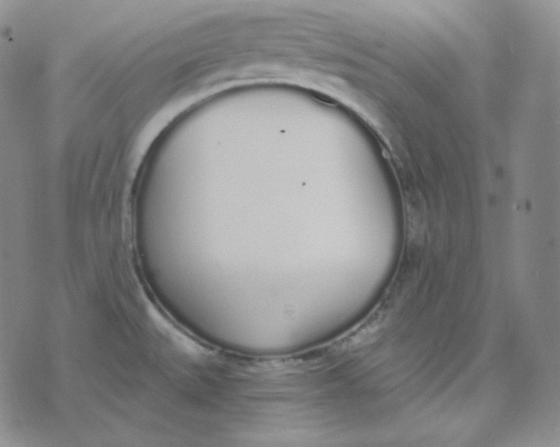 X0000076251527200610191636