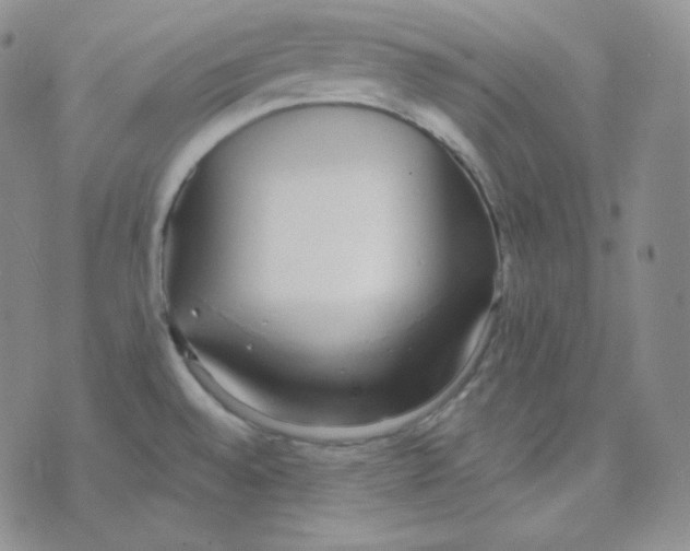 X0000076251528200610191636