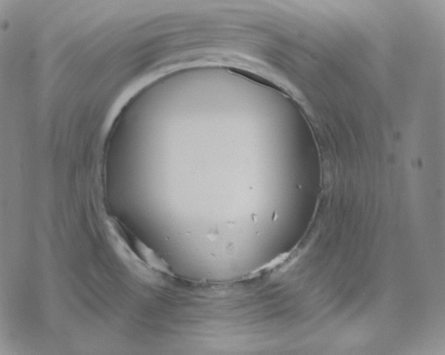 X0000076251530200610191636