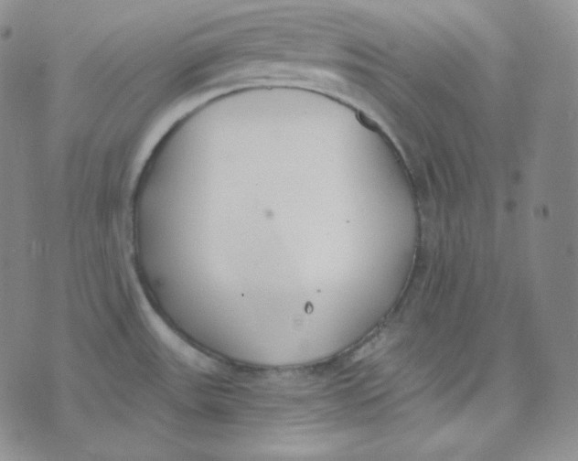 X0000076251531200610191636