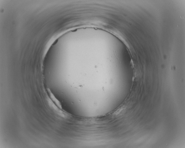 X0000076251532200610191636