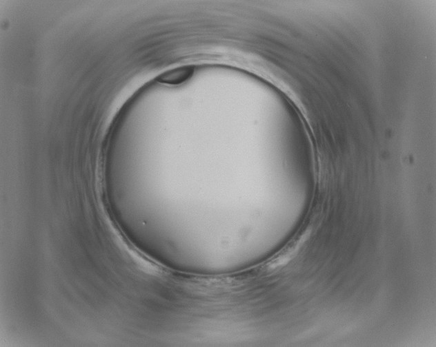 X0000076251533200610191636