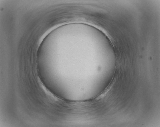 X0000076251534200610191636