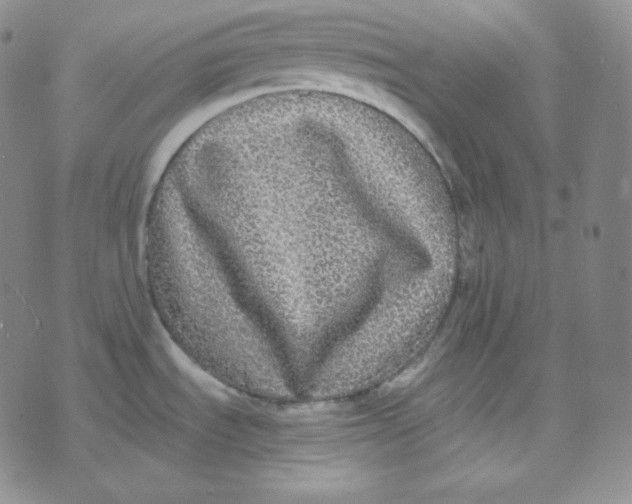 X0000076251535200610191636