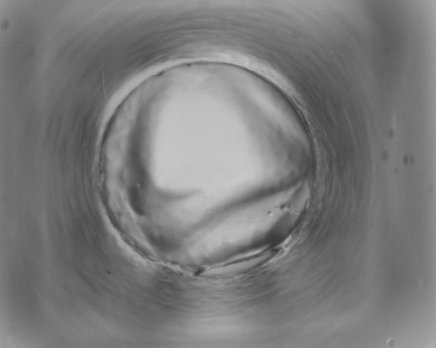 X0000076251536200610191636