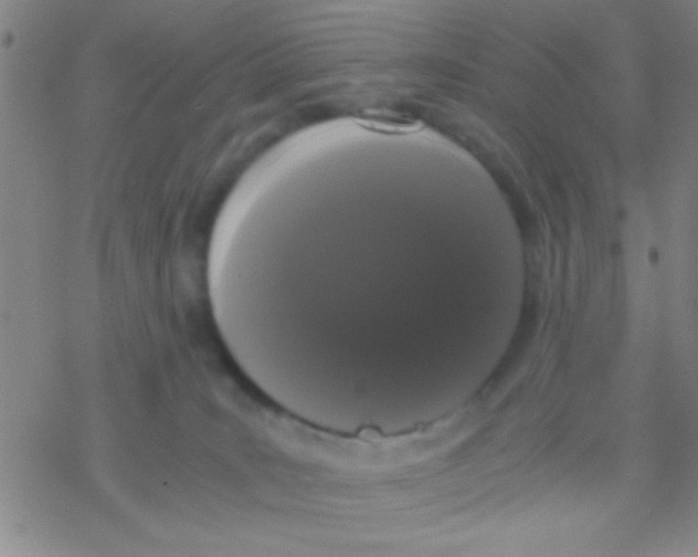 X0000076250035200610261951