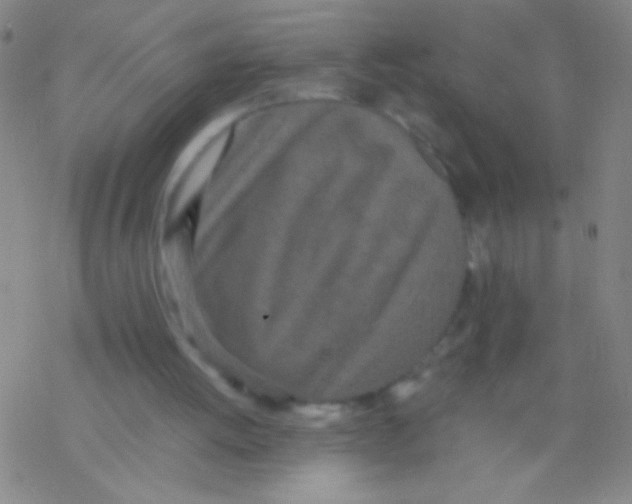 X0000076250052200610261950