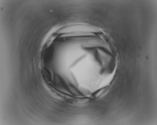 X0000076250056200610261950