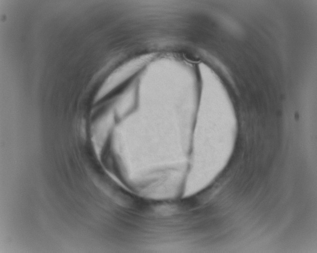 X0000076250067200610261950